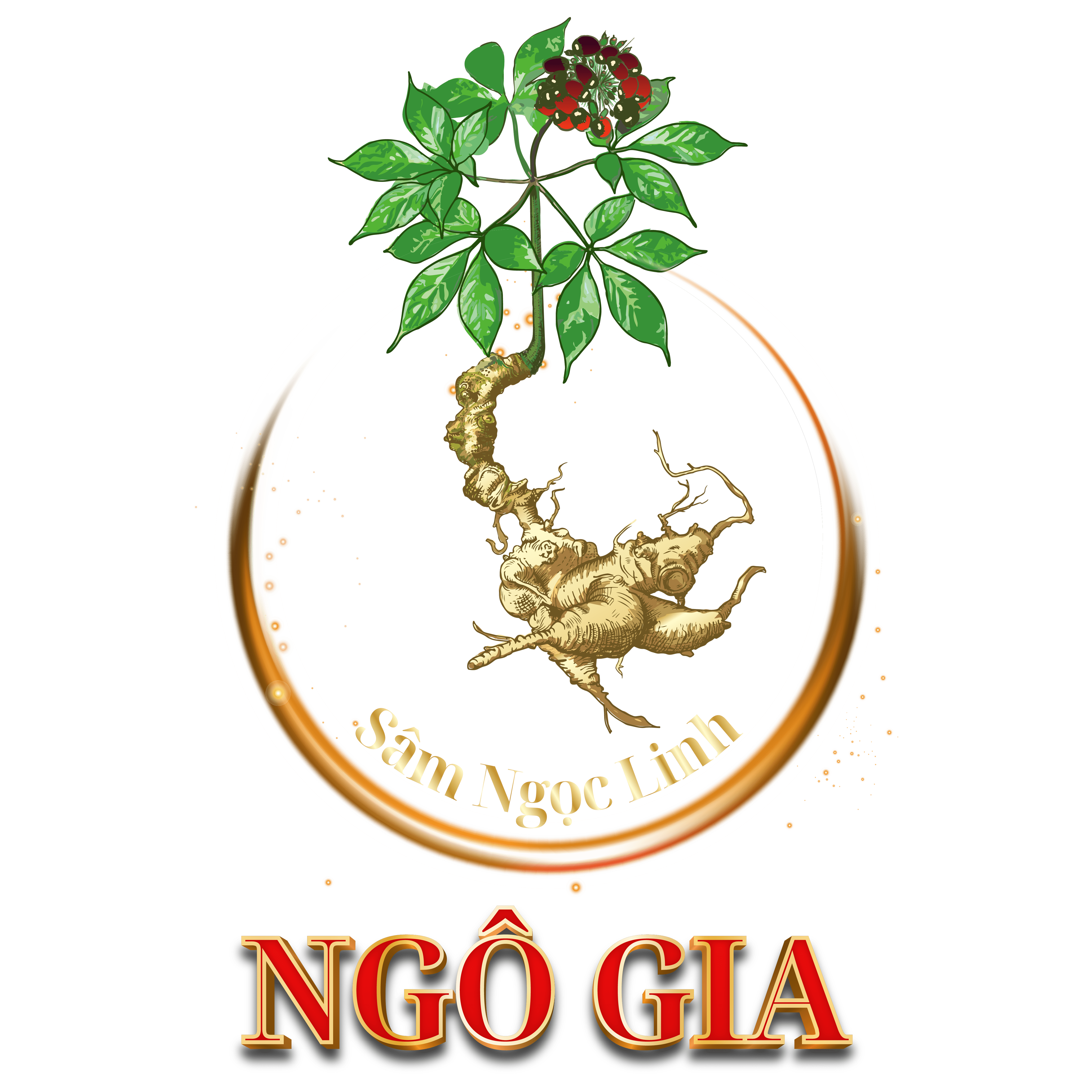 SÂM NGỌC LINH NGÔ GIA